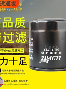 JX1008A5适配福田E049343000008/049343000232/W0018机油滤清器芯