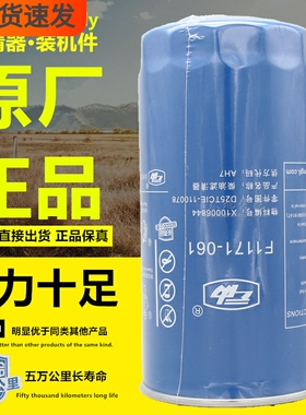 F1171-061云内D25TCIE-110078长寿命X10006844原厂柴油滤芯滤清器