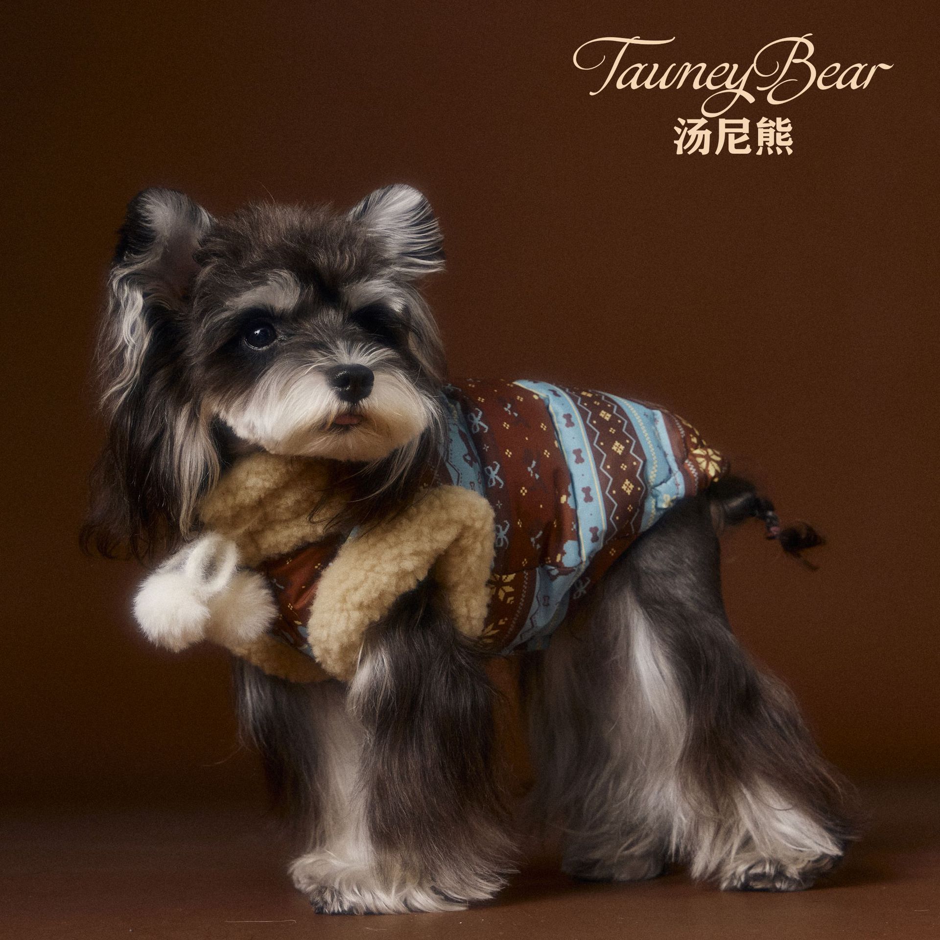 汤尼熊宠物衣服秋冬羽绒马甲