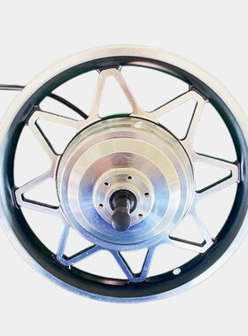 定制36V48V60V350W500W12寸14寸16寸代驾电机折叠车无刷高速电机