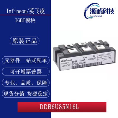 全新DDB6U85N16L DDB6U145N16L DDB6U215N16L DDB6U205N16L模块