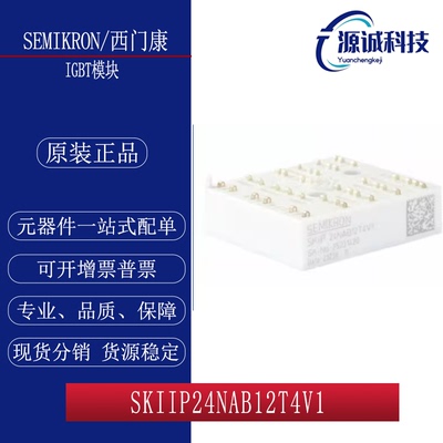 全新SKIIP24NAB12T4V1 SKIIP24NAB126V1 SKIIP23NAB126V10 模块