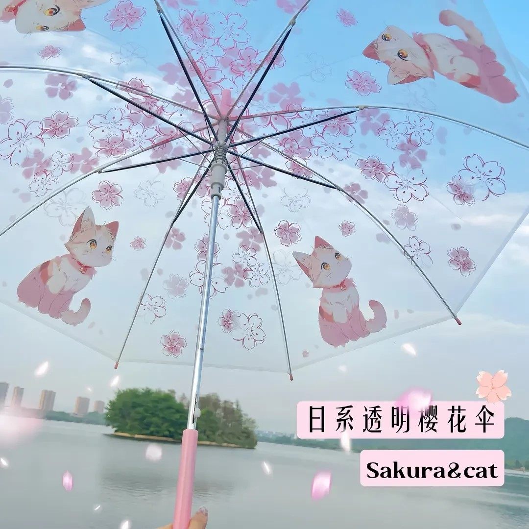 樱花猫咪全自动折叠透明清醒雨伞卡通学生可爱ins简约高颜值女生