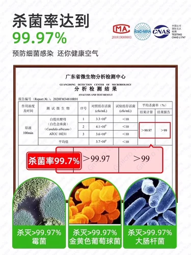 Дезодорант, спрей, аэрозоль, дезодорированная антибактериальная спортивная обувь