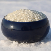 2025年新东北黑龙江五常大米碎米粥米煮粥1斤