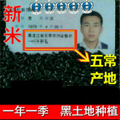 农家自产 新黑米 东北大米 五谷杂粮 黑粥米 五常黑香米