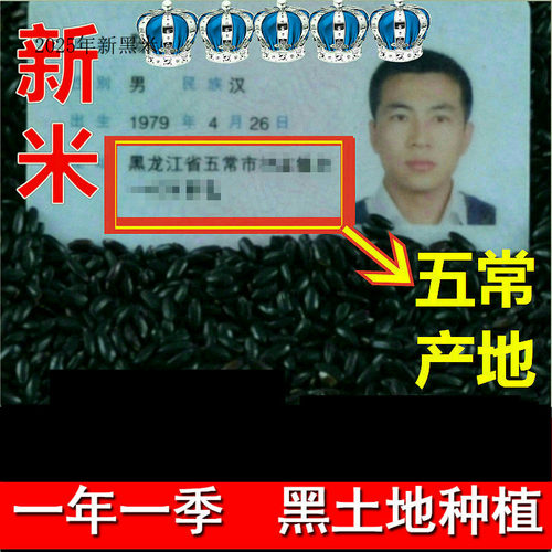 2024年新黑米五谷杂粮黑香米