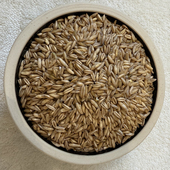 新鲜杂粮 农家粗粮 燕麦500克 燕麦米 东北黑龙江五常