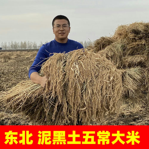 陈洪刚晶莹剔透五常大米