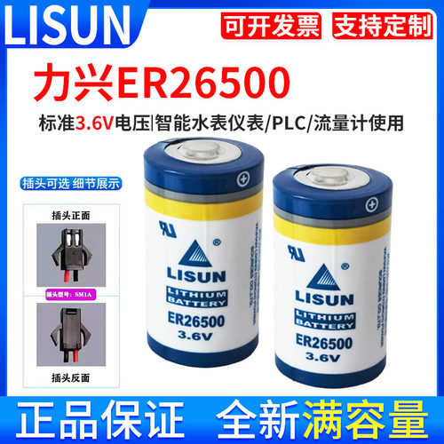 LISUN力兴ER26500流量计燃气仪表