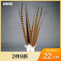 田田猫 Турнир высокого уровня фазана с длинным стержнем пером павли