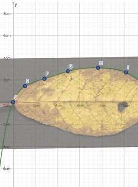 IB数学IA画图作图GeoGebra Desomos软件 IB math IA 数学AA HL