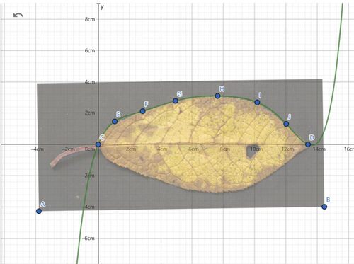 IB数学IA画图作图GeoGebra Desomos软件 IB math IA 数学AA HL