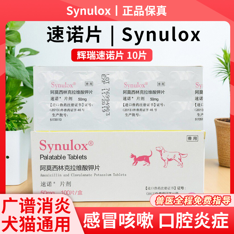 速诺感冒药阿莫西林克拉维酸钾片猫咪咳嗽宠物鼻支消炎速诺片50mg