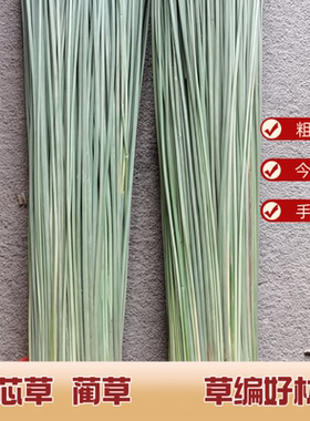 灯芯草手工DIY草编天然蔺草席草