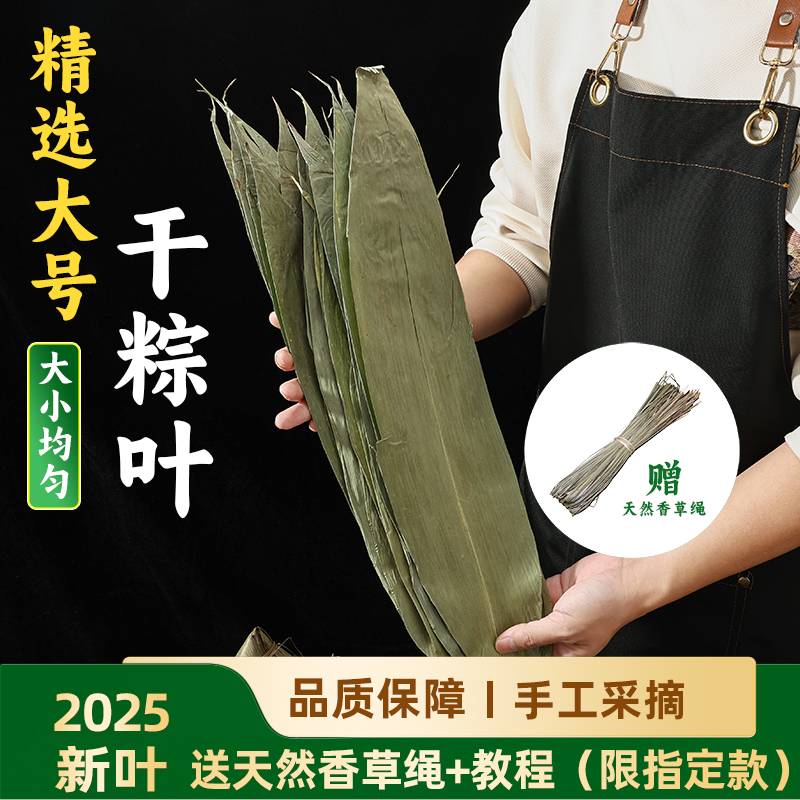 粽叶包粽子专用粽子叶干特大号棕叶竹叶子新鲜商用端午批发箬叶