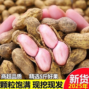 2026年新鲜湿花生湿花生现挖现发农家自种新鲜生花生湿带壳