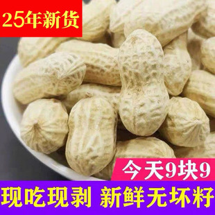 新鲜带壳生花生2025年新货干花生大颗粒5斤产地直发高产花生种子