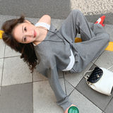 现货092-2603铆钉套装P175控288，女装运动套装，浙宝092