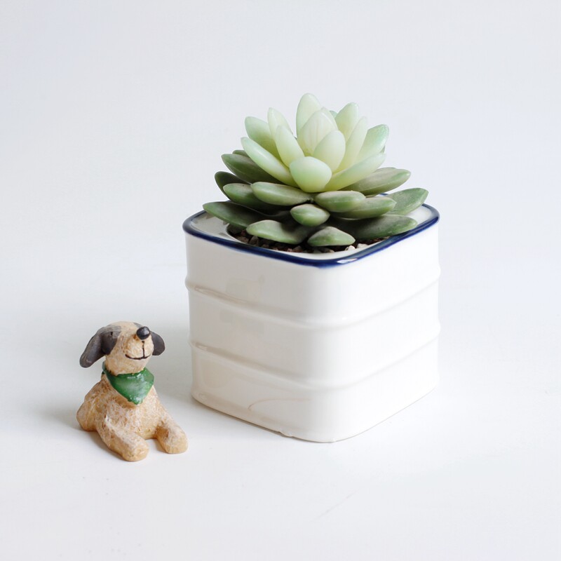 新款白色蓝边陶瓷油桶多肉植物盆栽个性创意可爱花卉方盆桌面花盆