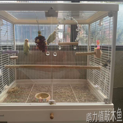 达洋大号B6001高透明观赏鸟笼