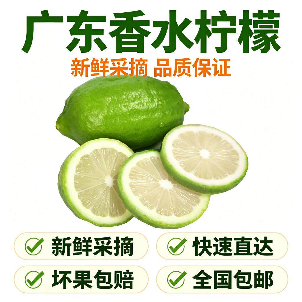 正宗广东香水柠檬无籽不打腊不苦涩全国包邮新鲜水果手打柠檬茶