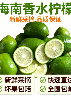 新鲜广东香水子弹头手打柠檬茶