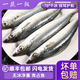 大号青占鱼鲐鲅鱼新鲜冷冻青花鱼鲅鱼马鲛鱼海鱼青鱼鲭鱼顺丰 包邮