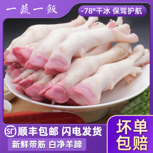 冷冻新鲜生羊蹄子白净羊脚带筋小羊蹄山羊肉生鲜食材商用顺丰包邮