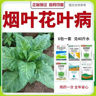 正品烟草花叶病防控花叶病毒病卷叶病叶面肥抗病抗害抗逆改善品质