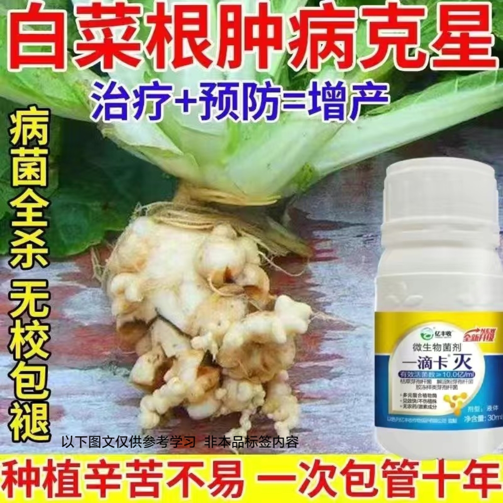 白菜蔬菜根肿病专用药青菜防腐烂根腐根瘤病大头病叶片变黄杀菌剂