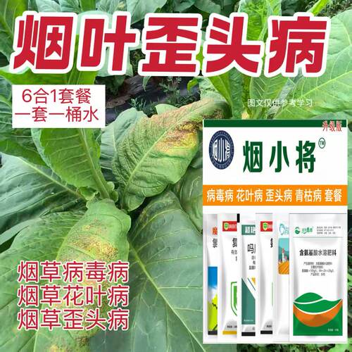 马歪清 烤烟马歪 歪头 花叶 卷叶 曲叶 病毒 落叶 专用叶面肥
