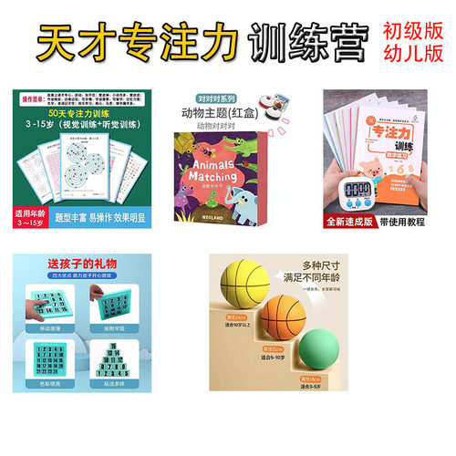 天才专注力训练教具儿童益智玩具提升记忆力改善孩子注意力不集中