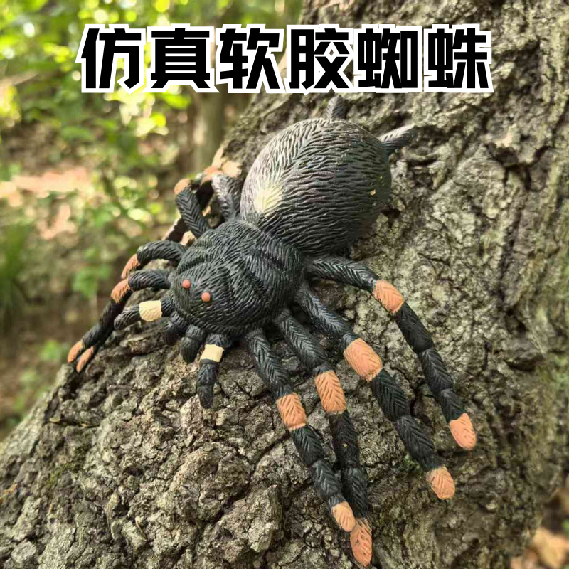 软胶仿真蜘蛛模型儿童整蛊玩具吓人蜘蛛玩具仿真昆虫动物模型,玩具/童车/益智/积木/模型,仿真/动物玩偶,淘宝优惠券,粉丝福利购,淘宝优惠卷
