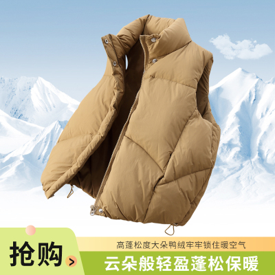 中大童儿童马甲冬季羽绒服坎肩洋气百搭女童加厚保暖立领鸭绒外套