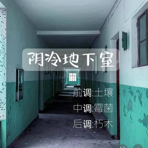 阴冷地下室味道香氛喷雾持久留香