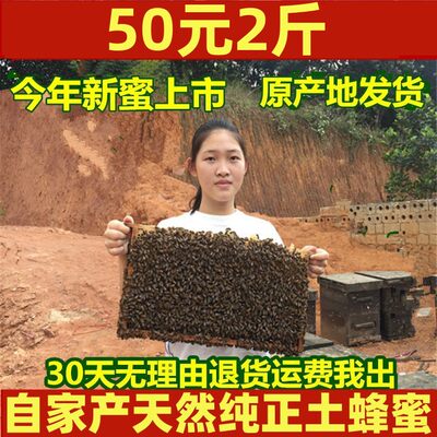 包邮新鲜天然散装土蜂蜜