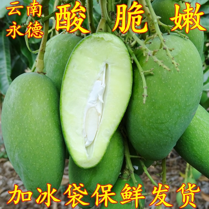 象牙芒云南临沧青芒四季芒酸脆小芒果新鲜现摘现发孕妇水果包邮,水产肉类/新鲜蔬果/熟食,芒果,淘宝优惠券,粉丝福利购,淘宝优惠卷