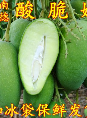 云南临沧永德酸脆芒果芽青芒果
