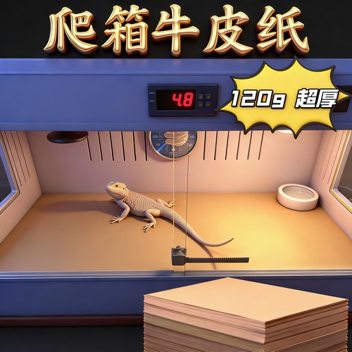 爬箱牛皮纸瓦楞垫材守宫鬃狮蜥蜴