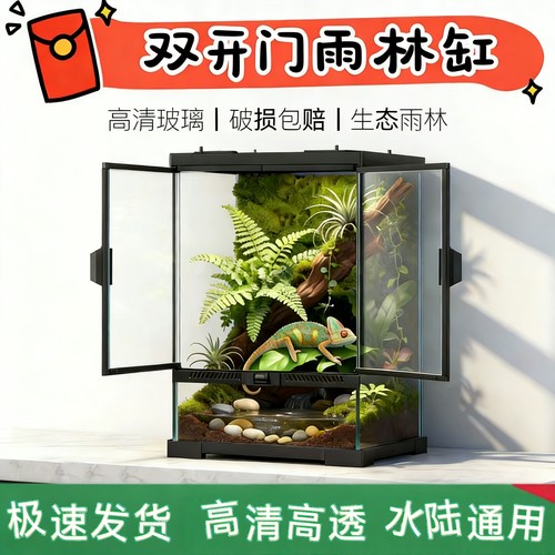 爬宠雨林造景缸街角姥爷树蛙R属