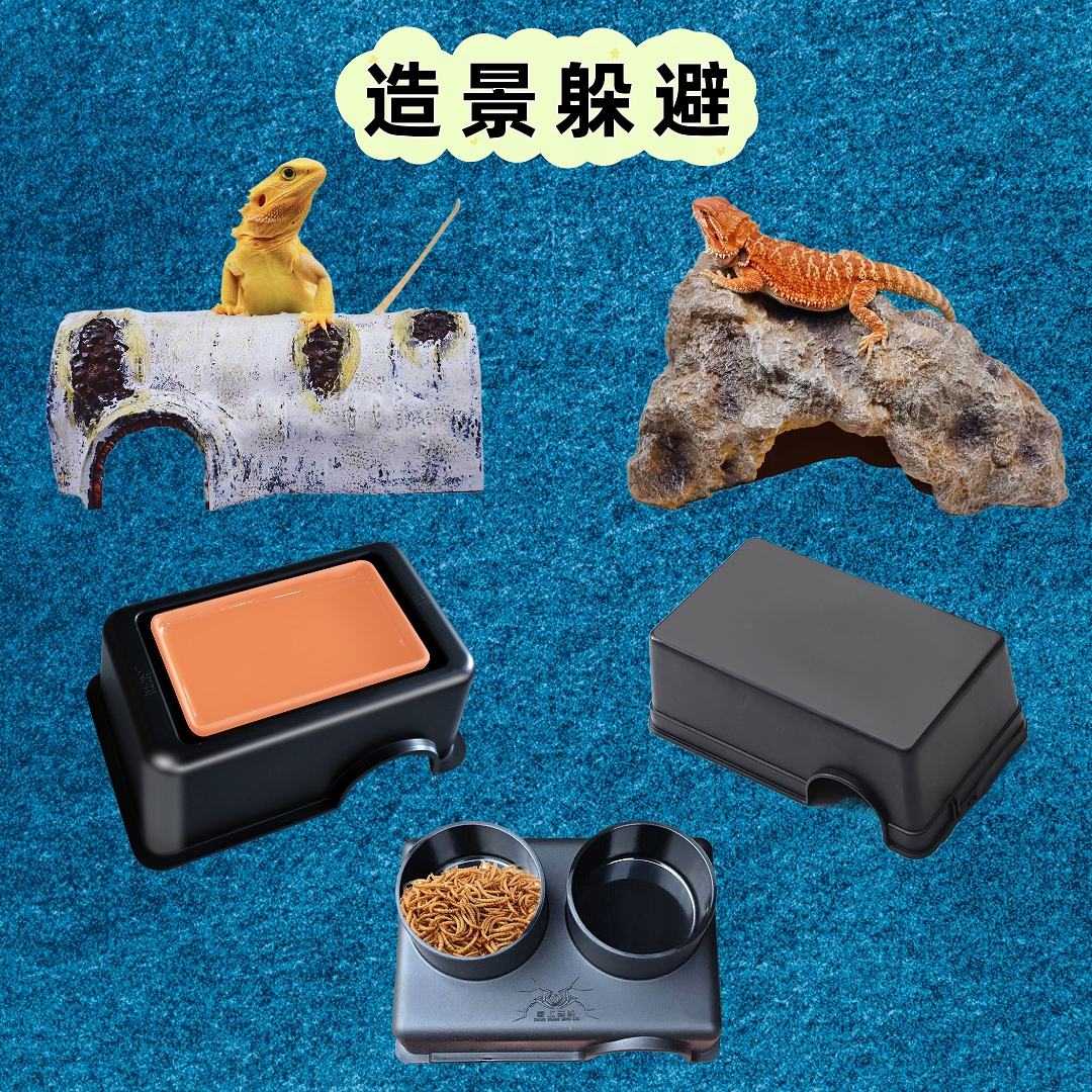 爬宠虫躲避洞造景晒台桦木岩石洞