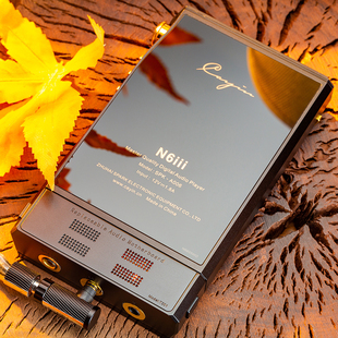 Cayin凯音N6iii三代T201便携HIFI无损音乐安卓播放器音频主板