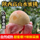 水果整箱脆桃子蟠桃毛桃 陕西新鲜高山现摘撕皮软水蜜桃孕妇当季