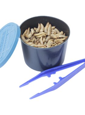 黑水活体幼虫鱼饵包活包赔包损失