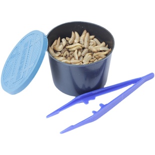 黑水虻活体幼虫鱼饵翘嘴野钓螃蟹龙虾诱饵高蛋白饲料湖泊河流山川