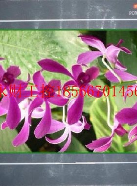 议价威纶触摸屏MT4300L、MT4300C、MT4300T￥