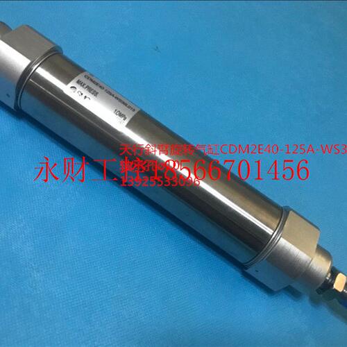 议价天行斜臂旋转气缸CDM2E40-125A-WS36L015 轴承孔?10议￥
