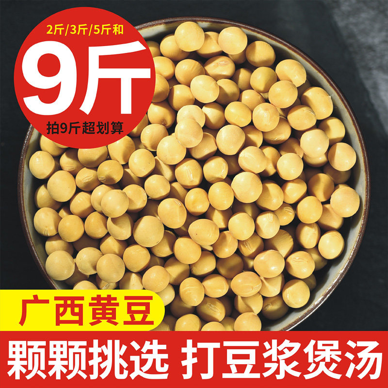 新货广西农家自种自产小黄豆土黄豆大豆发豆芽专用打豆浆豆奶散装