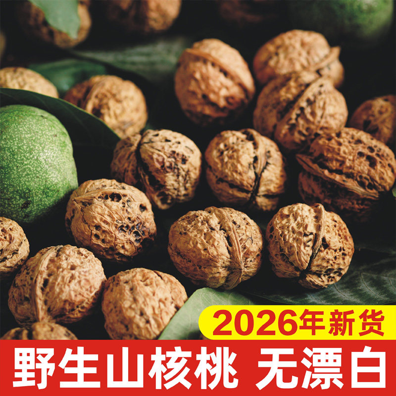 26年新货广西农家野生薄皮山核桃原味万岁子 非新疆云南纸皮500g